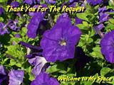 ThankYouForTheRequest400.jpg image by flickalanie